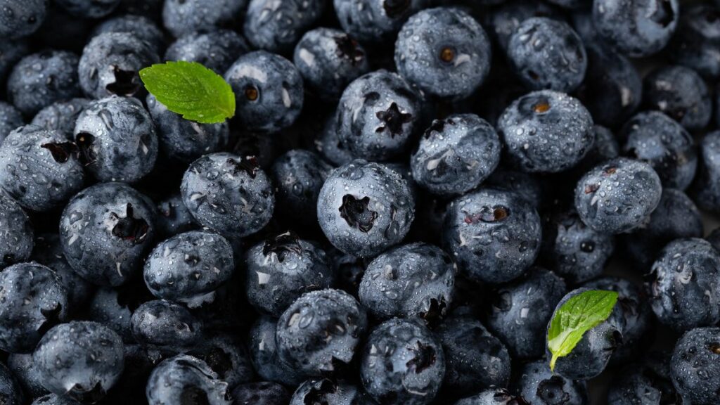 Why Blueberries are a Superfood: Top Health Benefits You Need to Know